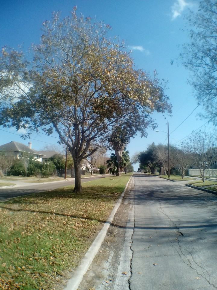 901 Furman Ave - Photo 3 of 3