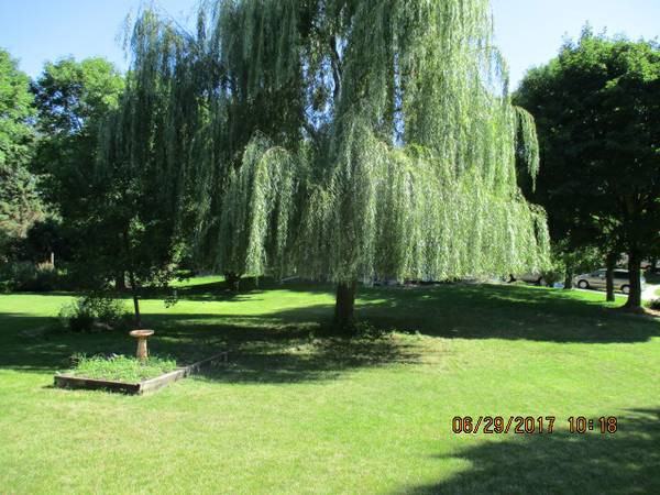 2270 Copperfield Dr - Photo 2 of 11