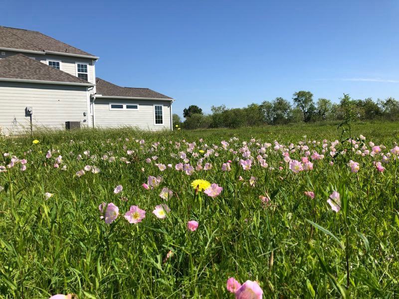 18303 Cypress Hill Dr - Photo 2 of 9