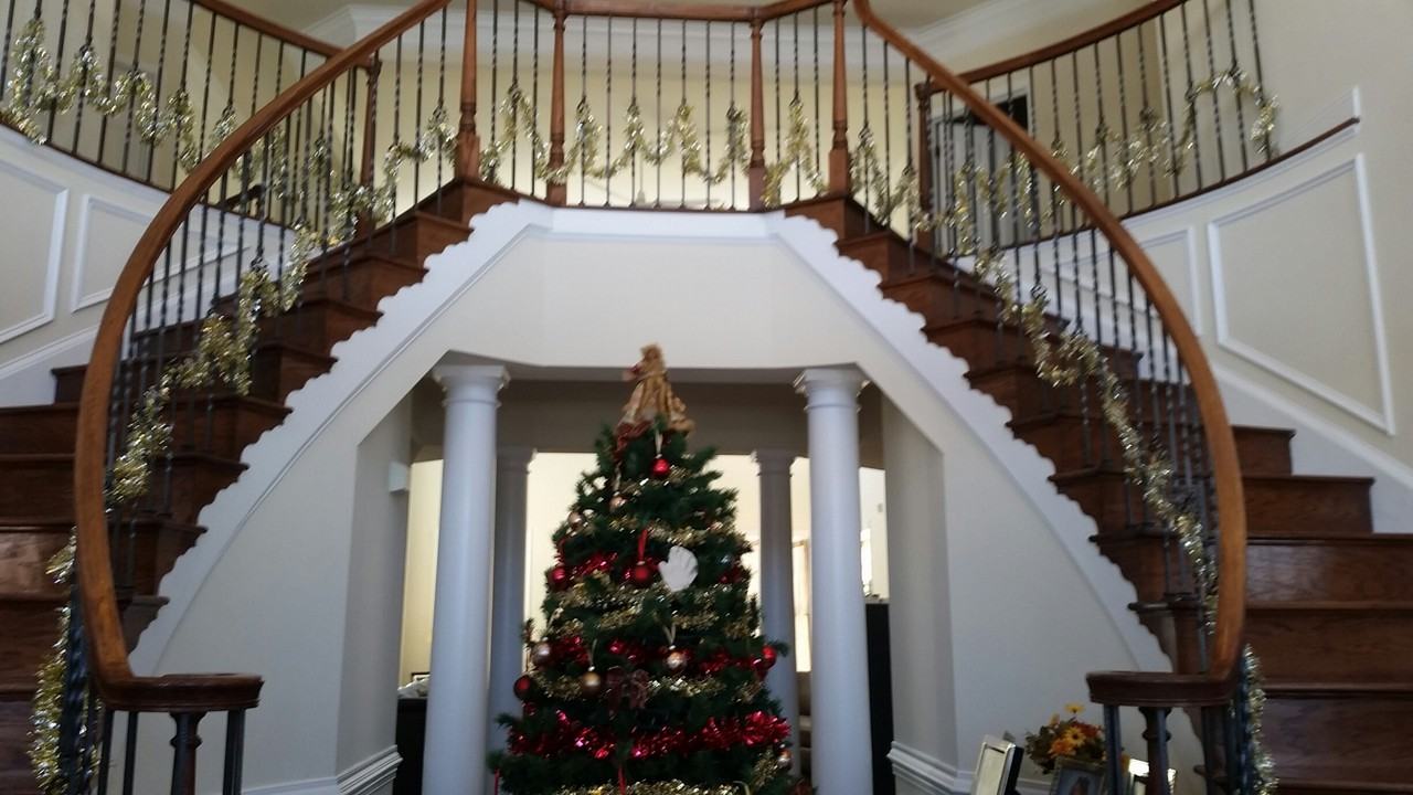 25570 Mimosa Tree Ct - Photo 2 of 3