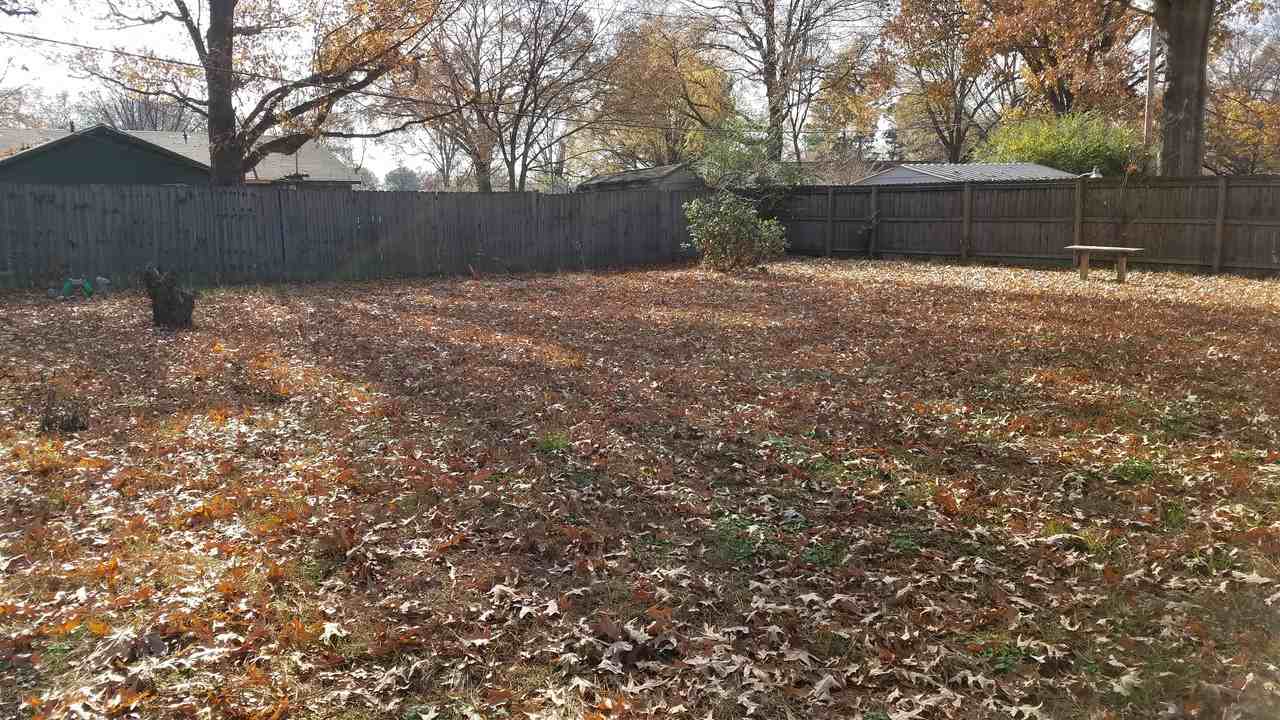 1347 Mary Jane Ave - Photo 2 of 9