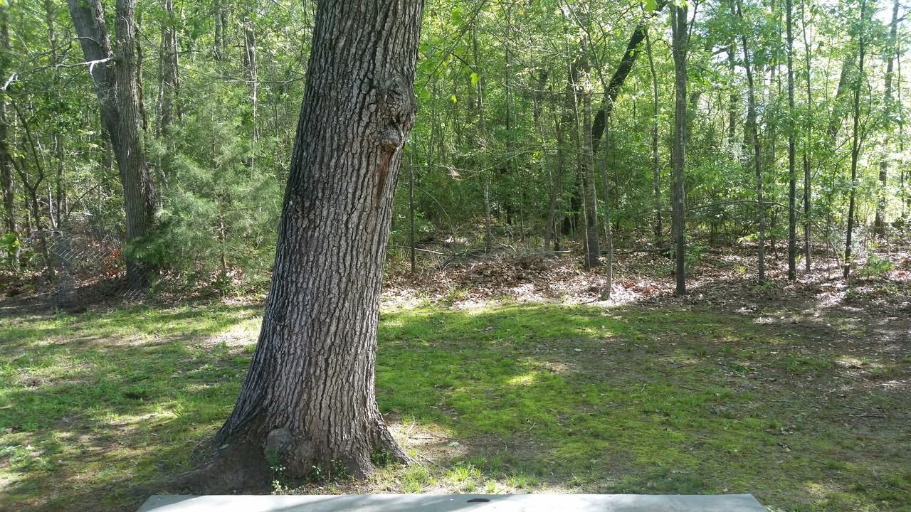 1304 Glade St - Photo 2 of 11