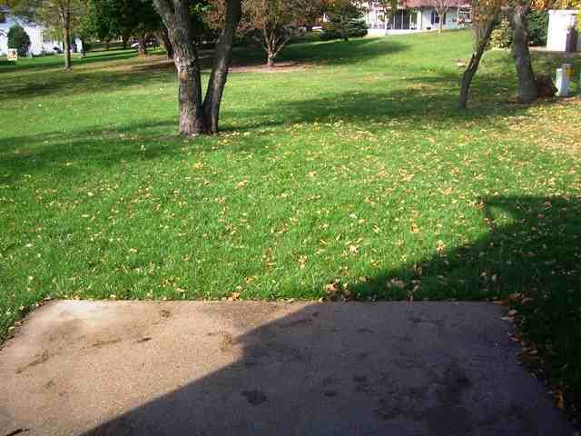 1021 Hillside Dr #1023 - Photo 2 of 14