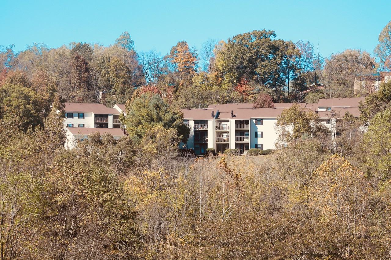 3004 Shelby Street Apartments 3004 Shelby St, Bristol, TN 37620 Zumper