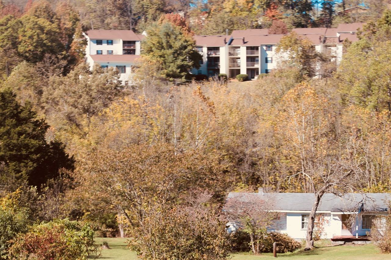 3004 Shelby Street - Photo 2 of 19