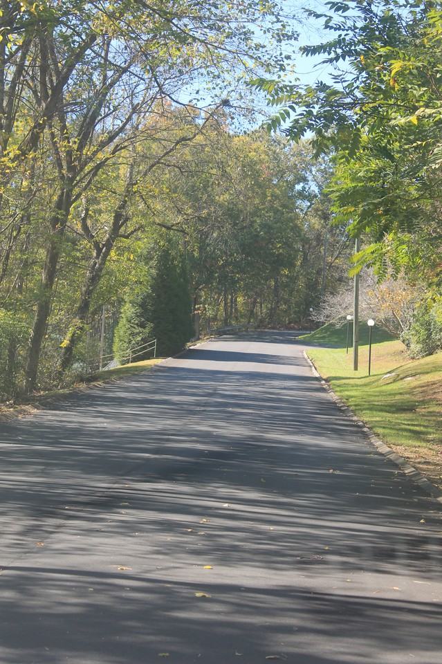 3004 Shelby Street - Photo 3 of 19