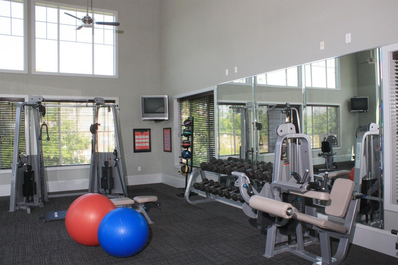 Main Road Apartments Main St, New York, NY Zumper