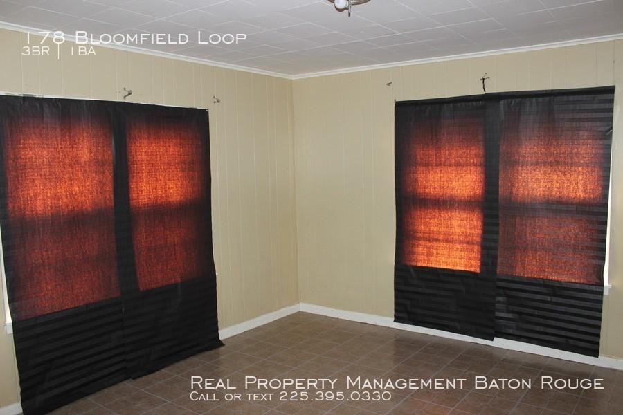 178 Bloomfield Loop - Photo 3 of 10