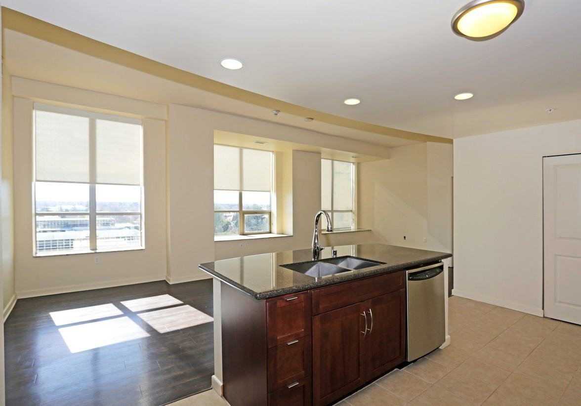 Penthouses at Capitol Park - Photo 5 of 21