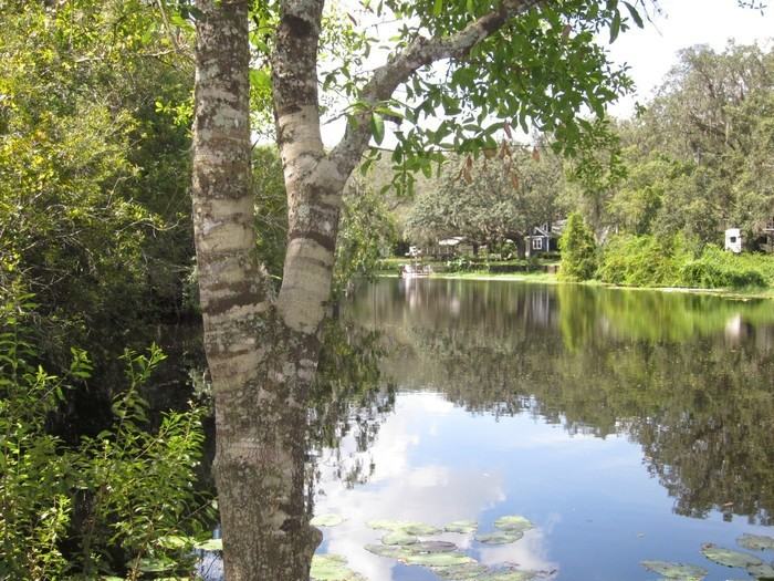 13949 Friendship Ln - Photo 2 of 36