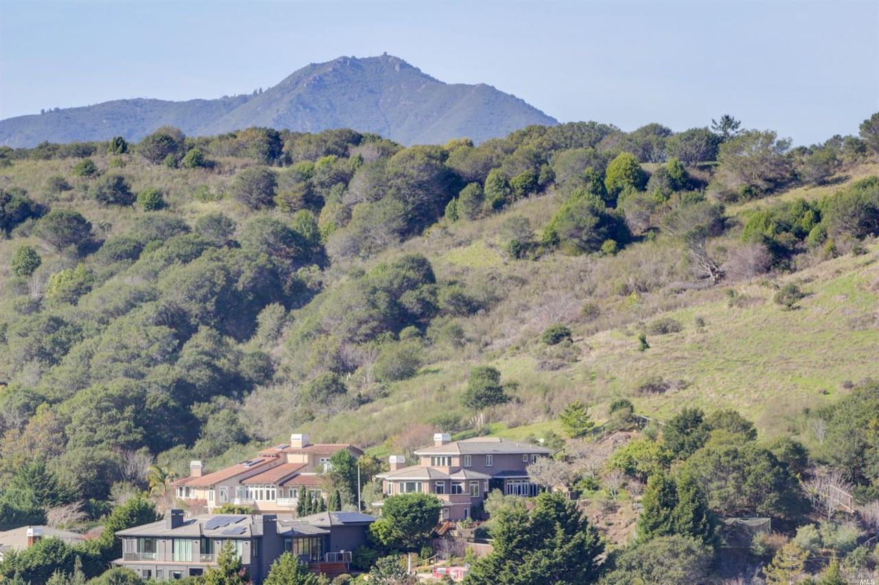 321 Blackfield Dr - Photo 2 of 42