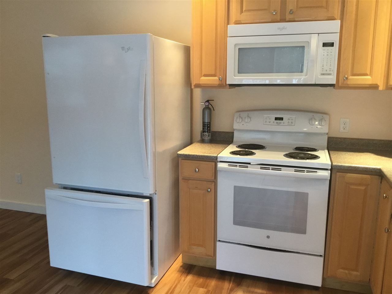 183 Brixham Rd - Photo 2 of 13