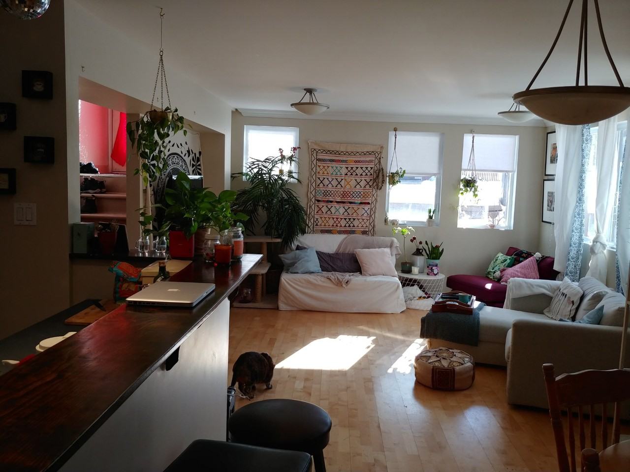277 Wilbrod Street - Photo 2 of 6