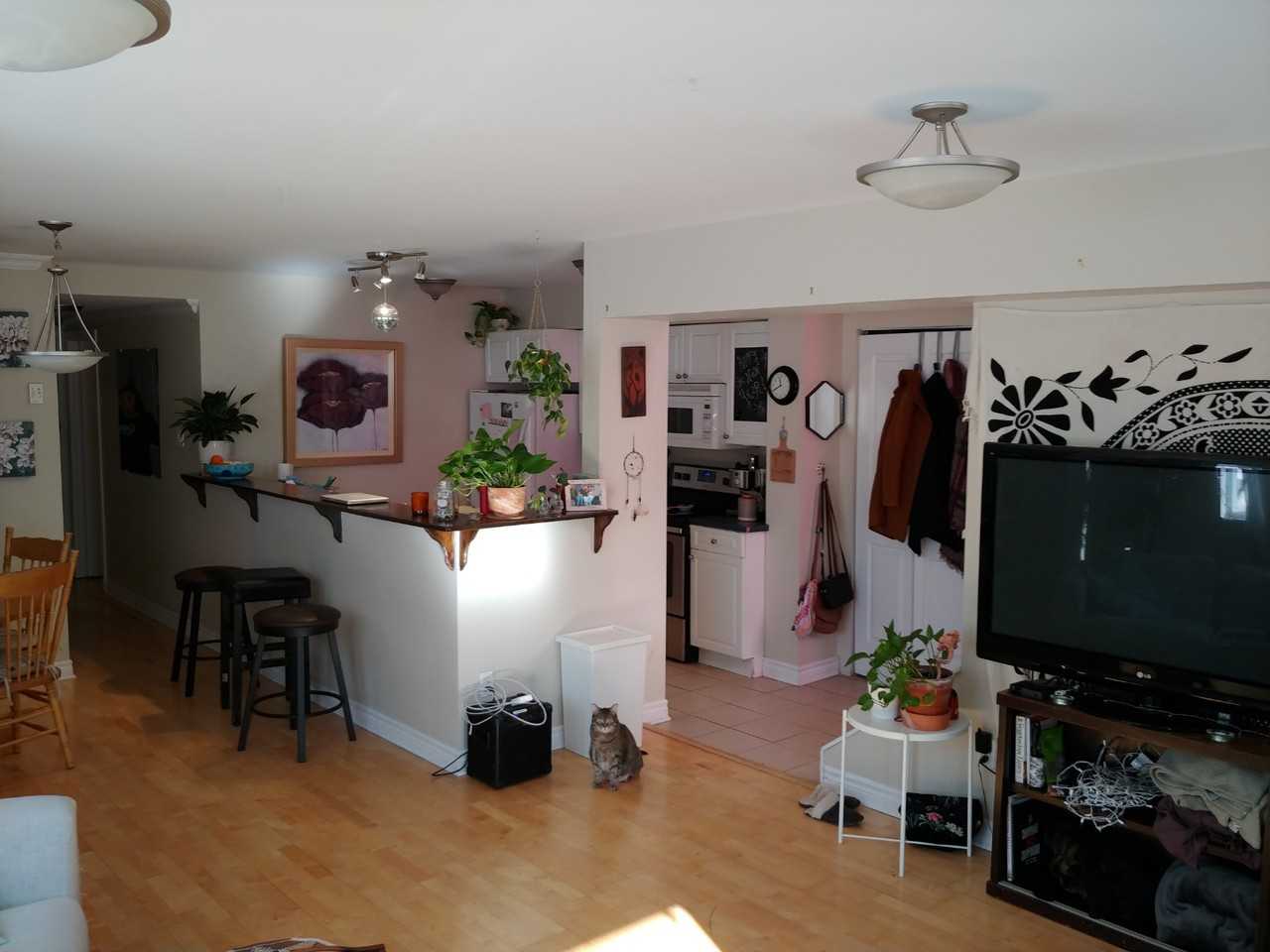 277 Wilbrod Street - Photo 3 of 6