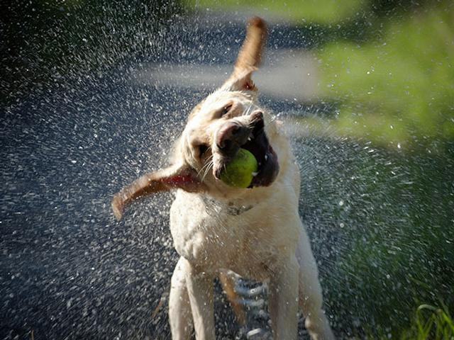 1147 West Grand River Avenue - Photo 7 of 12