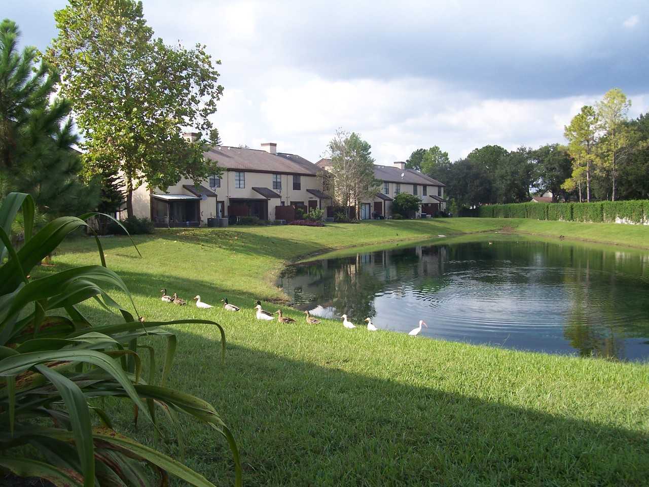 16505 Brigadoon Dr - Photo 3 of 3