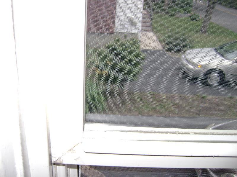 110 Bow St #1 - Photo 3 of 10