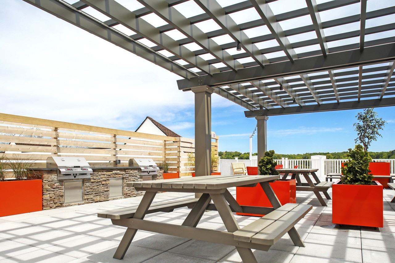 Apex at 290 - Photo 3 of 50