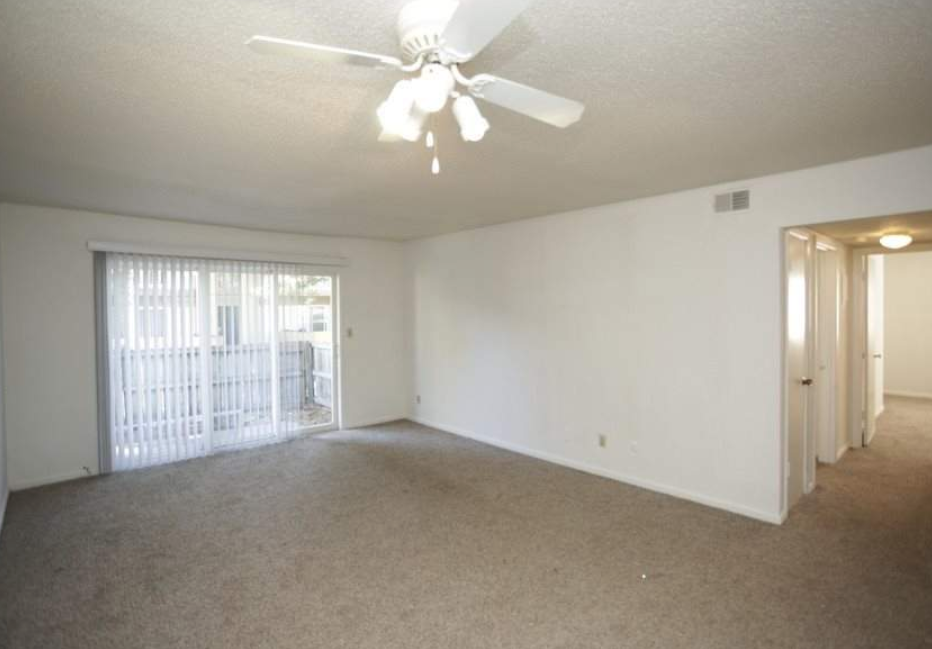 Oak Tree - Photo 2 of 5