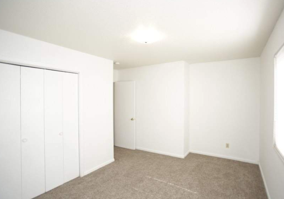 Oak Tree - Photo 3 of 5