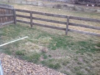 185 Montgomery Dr - Photo 4 of 4