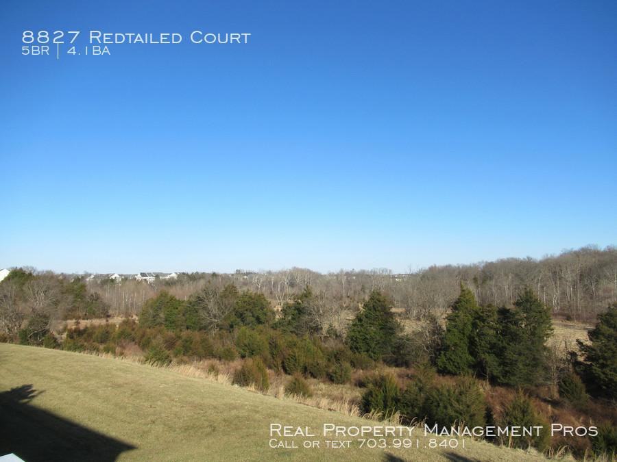 8827 Redtailed Ct - Photo 3 of 50