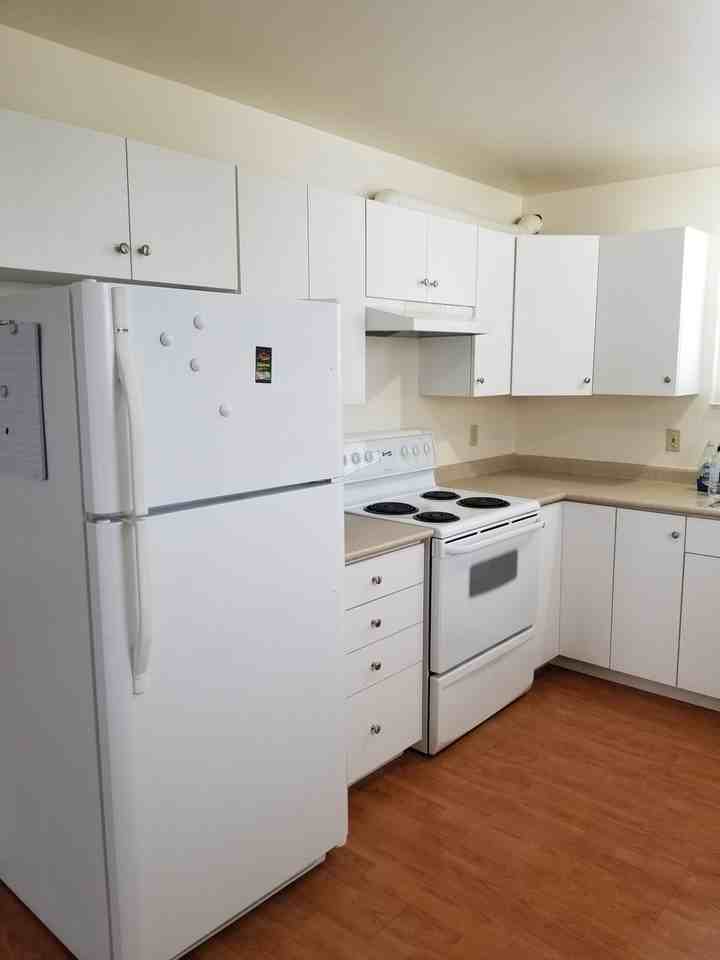 3 Napier Court - Photo 2 of 6