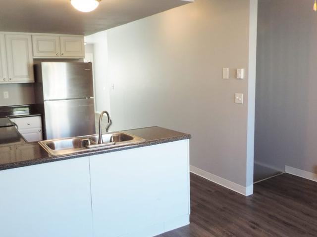 4801 Pacer Ln - Photo 5 of 23