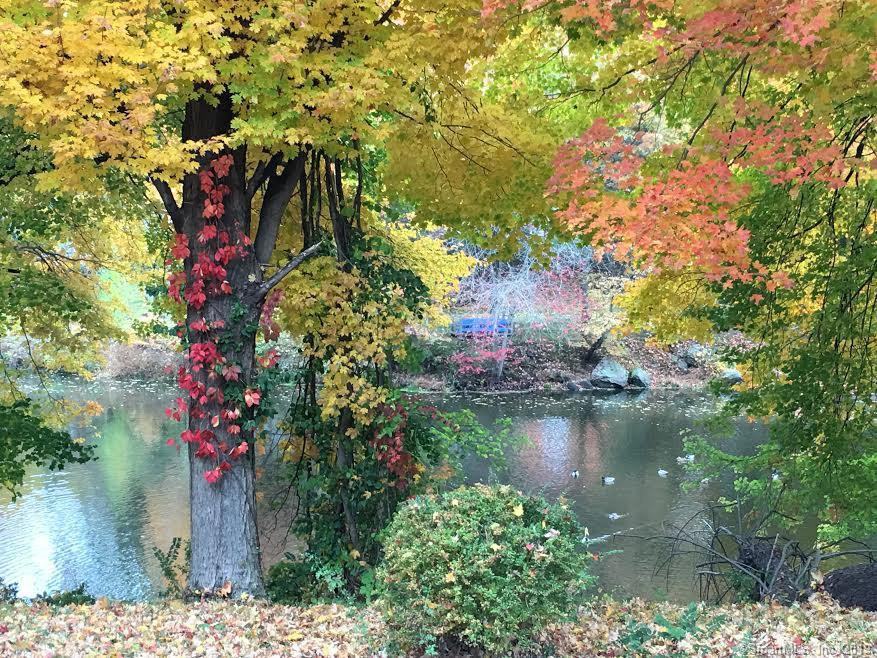 4 Wake Robin Rd - Photo 2 of 38