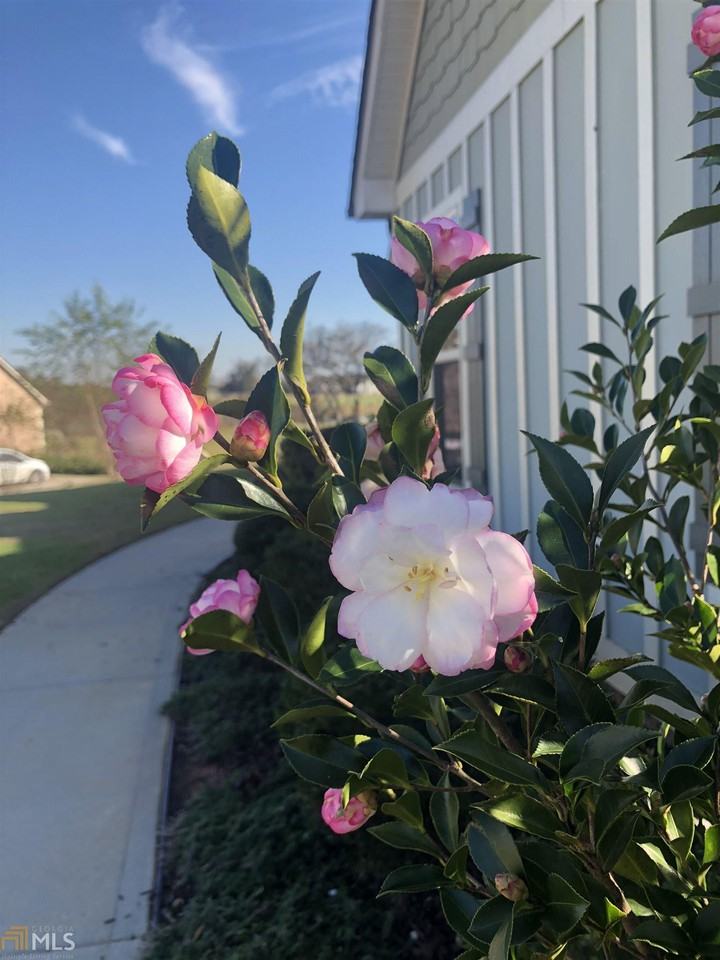 68 Canoe Dr - Photo 3 of 36