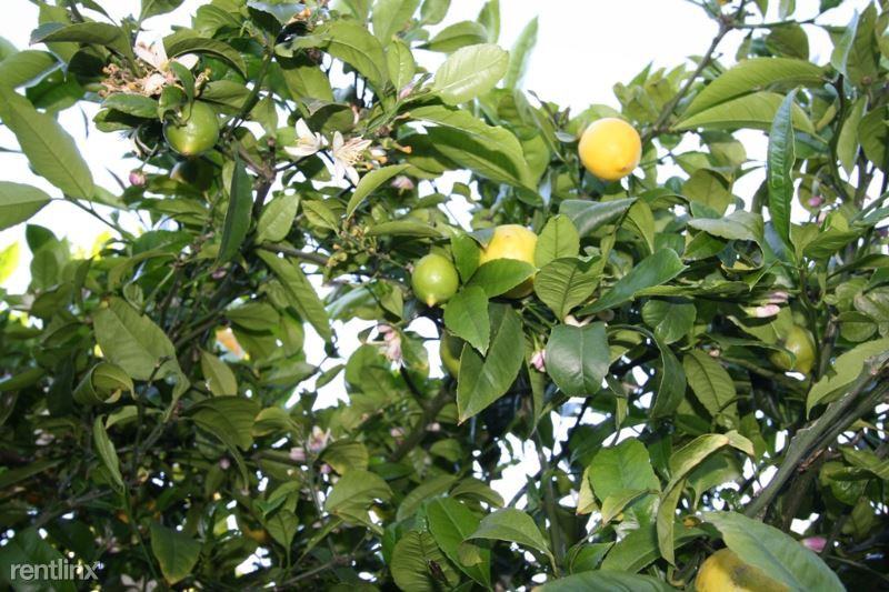 2 Neva Ct - Photo 3 of 6