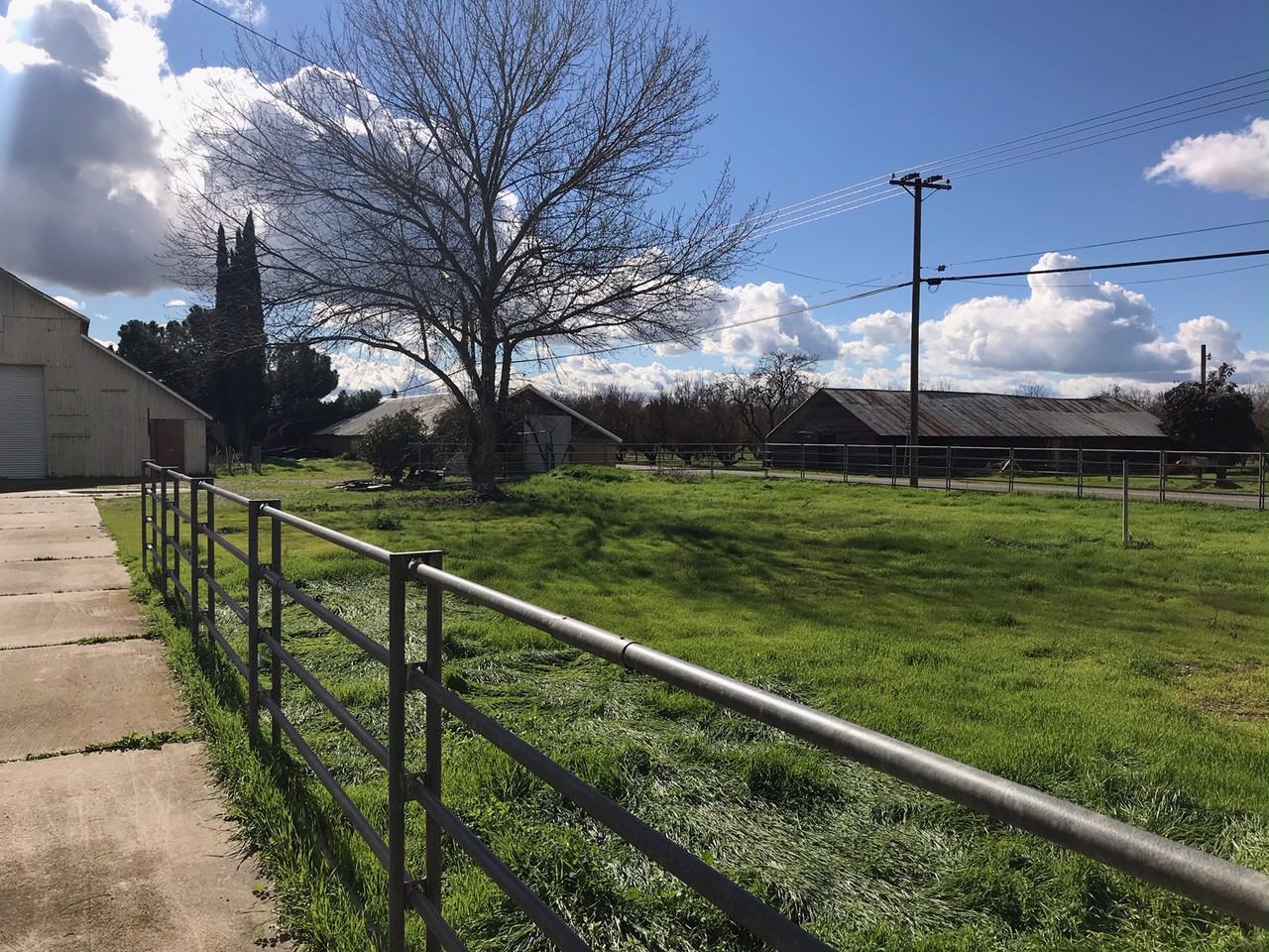 2406 E Monte Vista Ave - Photo 3 of 16