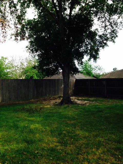 17307 Nordway Dr - Photo 6 of 6