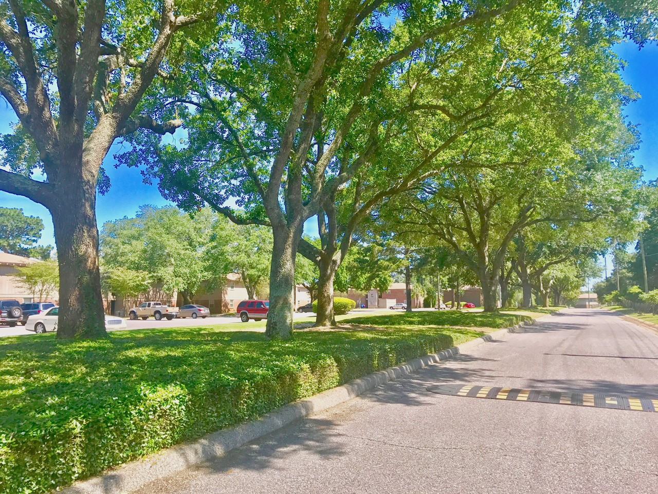 Carriage Hills Apartments - Photo 7 of 14