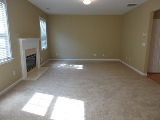 1539 Anna Ruby Ln Heights - Photo 3 of 13