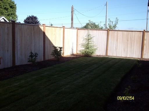 133 SW Quince St - Photo 3 of 6