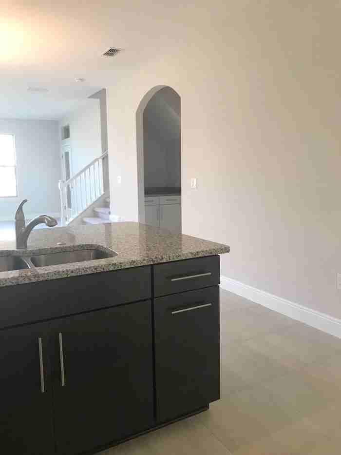 10163 10163 Shallow Water Drive - Photo 3 of 12