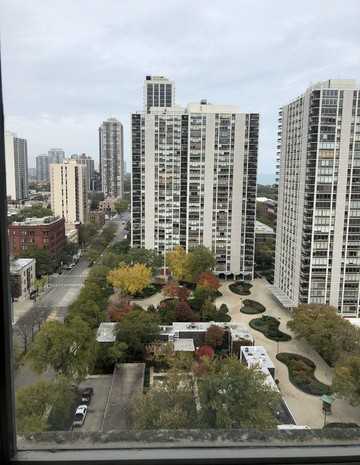 1360 N Sandburg Terrace #2010