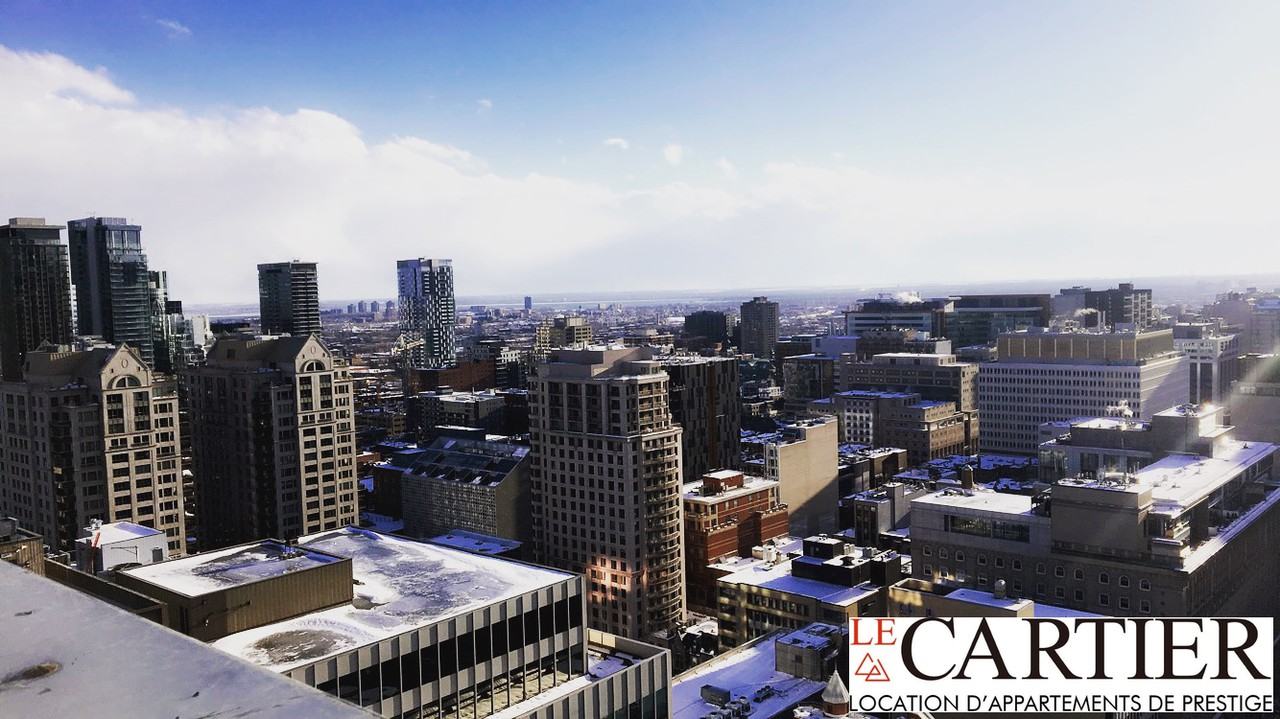 3410 Rue Peel - Photo 3 of 14