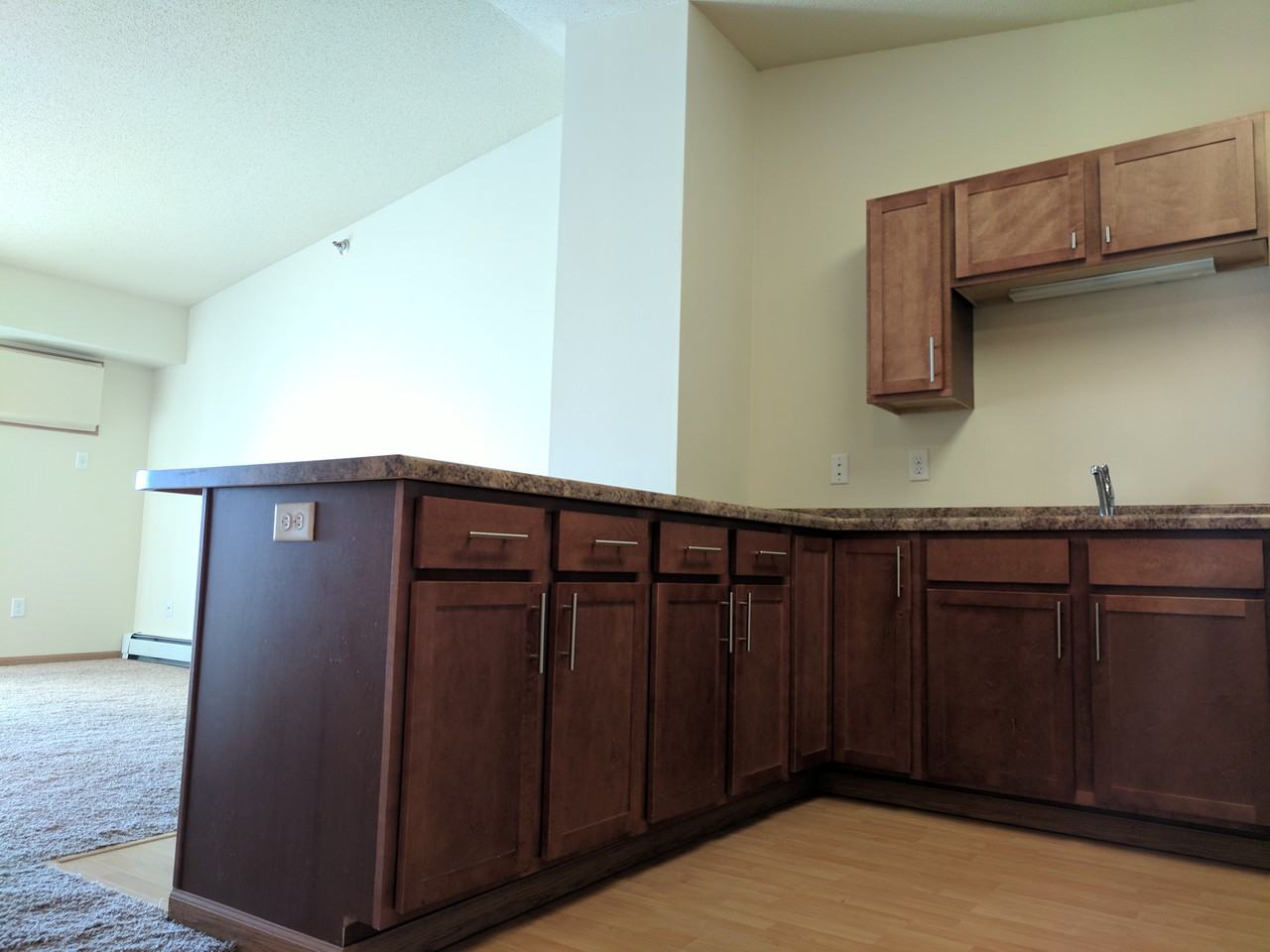 5160 44th Avenue South - Photo 3 of 17