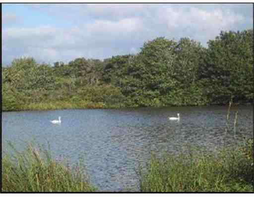 23 Pierce Ln - Photo 3 of 19