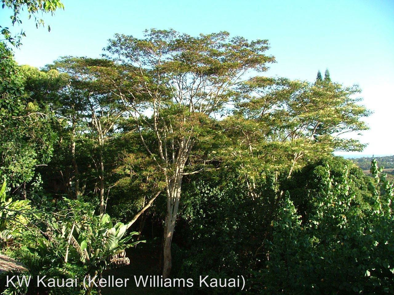 3151 Wawae Pl - Photo 2 of 9