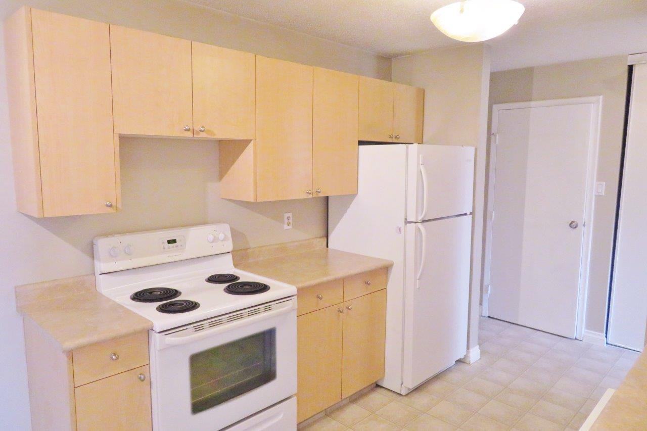 3809 Luther Place #12 - Photo 2 of 10