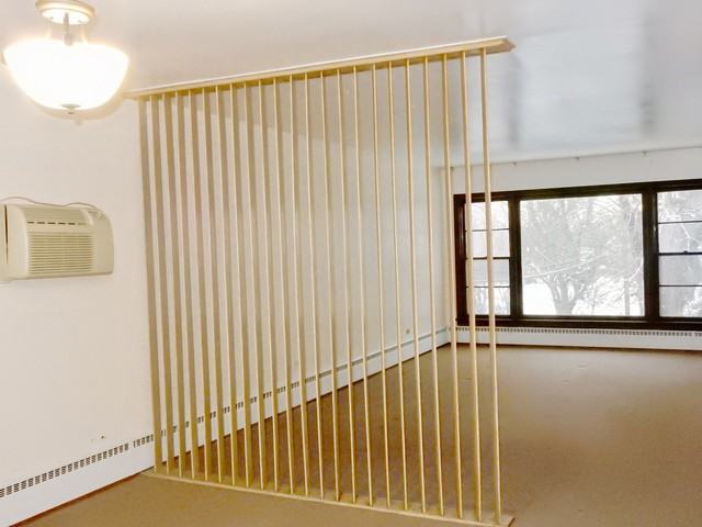 5511 S Komensky Ave #2 - Photo 3 of 17