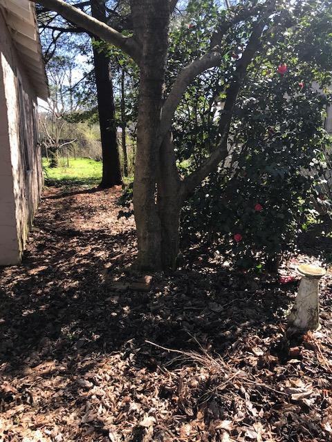 3112 N Hickory St - Photo 2 of 14