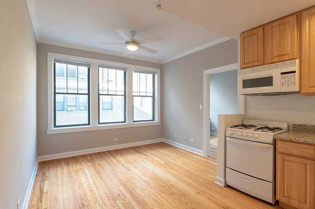 2828 North Pine Grove Avenue #505