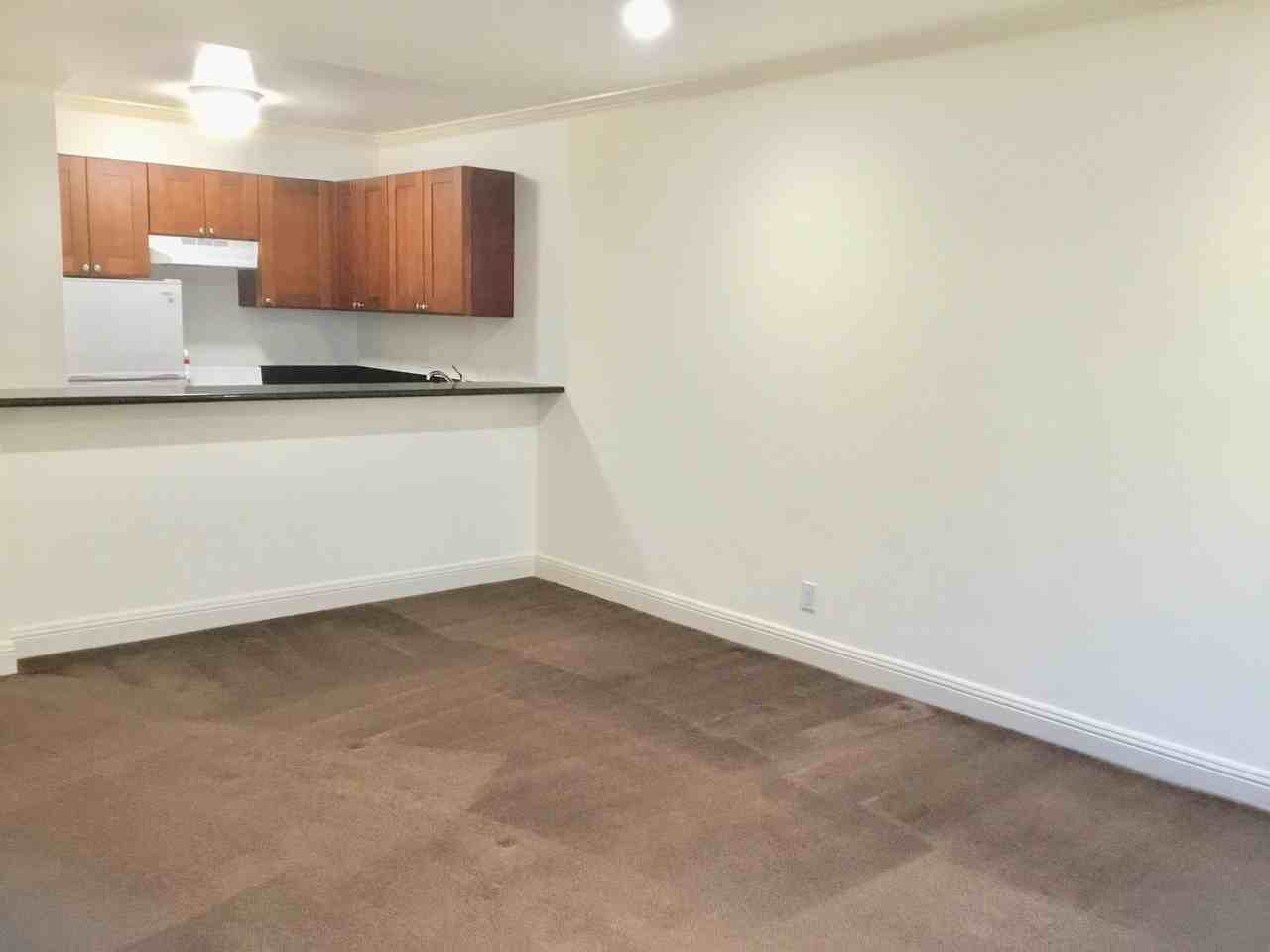 1650 Octavia - Photo 3 of 13