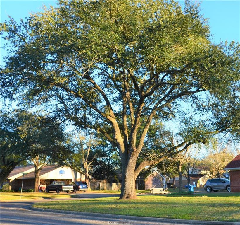 914 Gibbs St - Photo 3 of 30