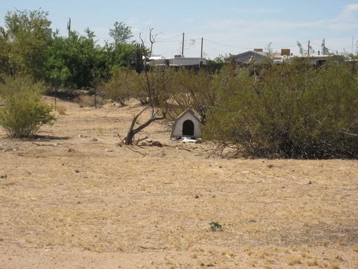 4467 Mazatzal Dr - Photo 3 of 7