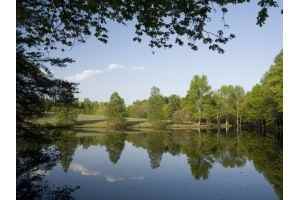 Homestead at Hartness - Photo 2 of 16